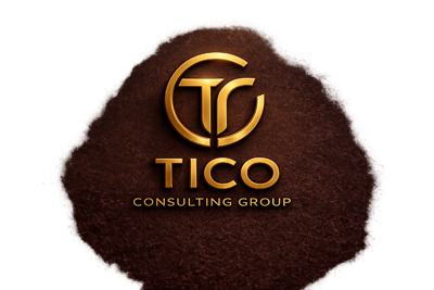 Tico Consulting Group LLC logo